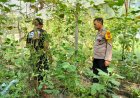 Bhabinkamtibmas Desa Banyukambang Ajak Warga Manfaatkan Pekarangan Rumah untuk Dukung Ketahanan Pangan