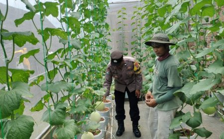 Green House Melon Jadi Inspirasi Ketahanan Pangan, Bhabinkamtibmas Desa Tawangrejo Berikan Pendampingan kepada Petani