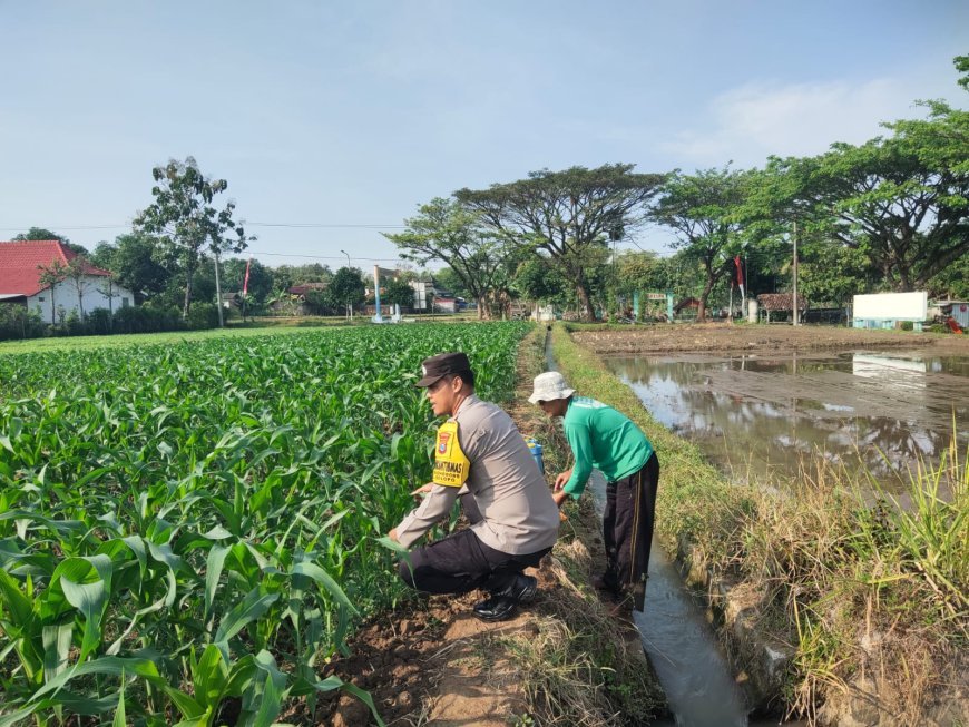 Bhabinkamtibmas Desa Glonggong Dorong Pemanfaatan Pekarangan dan Sawah untuk Mendukung Ketahanan Pangan