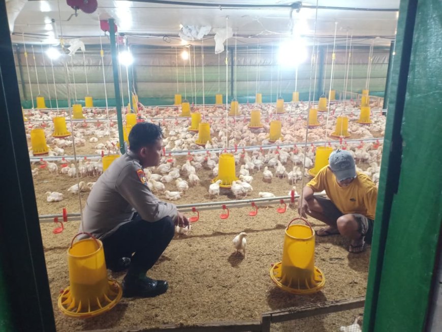 Dukung Ketahanan Pangan, Bhabinkamtibmas Polsek Balerejo Sambangi Peternak Ayam di Desa Kedungjati
