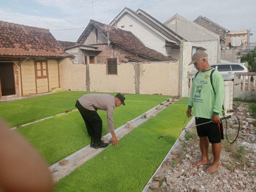 Dukung Ketahanan Pangan Nasional, Bhabinkamtibmas Polres Madiun Ajak Warga Manfaatkan Lahan Pekarangan