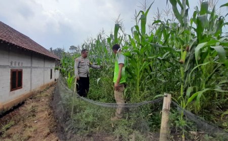 Bhabinkamtibmas Bodag Dorong Warga Manfaatkan Pekarangan untuk Ketahanan Pangan