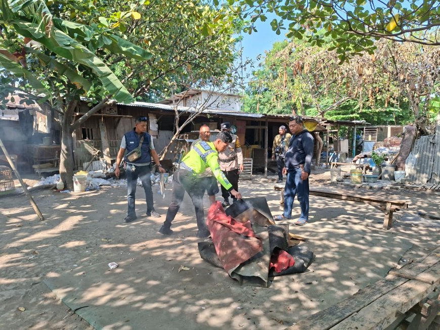 Polsek Waru Bongkar Arena Sabung Ayam di Bungurasih Utara